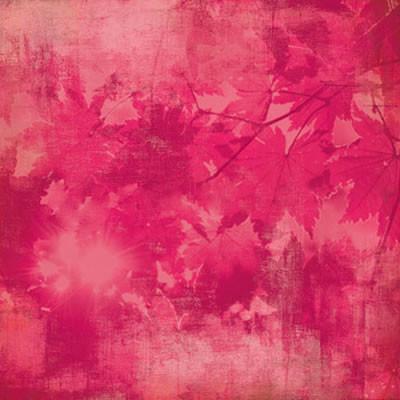 BasicGrey - Indian Summer - Brandied Melon 12x12 paper (pack of 10)