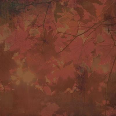 BasicGrey - Indian Summer - Dogwood 12x12 paper (pack of 10)