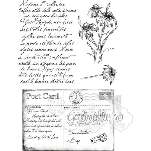 49 & Market Clear Stamps 4 inch X6 inch Gabis Postcard From Paris